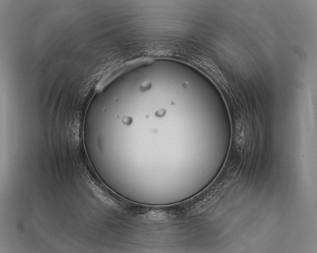 X0000112930441200909071036