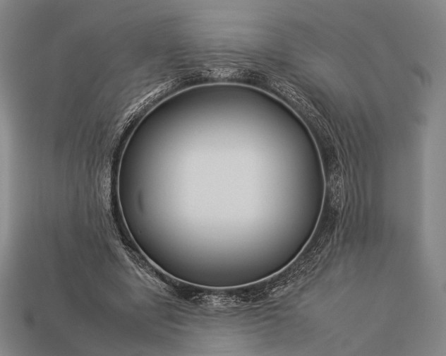 X0000112930442200909071036