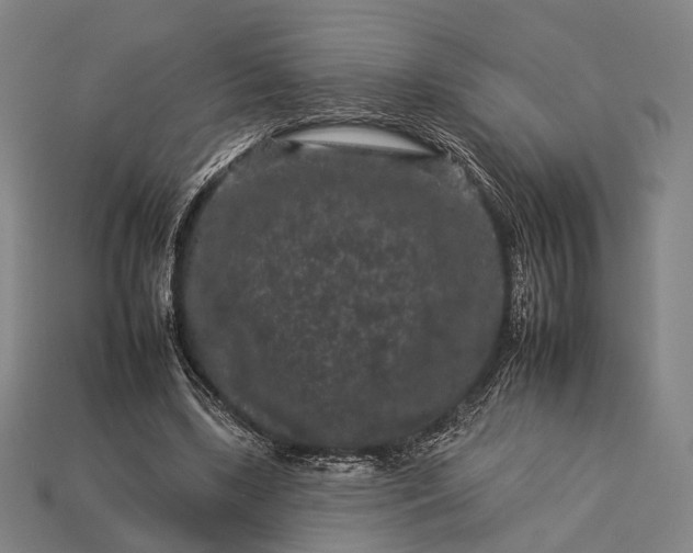 X0000112930443200909071036