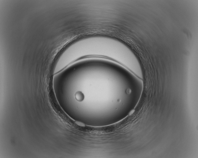 X0000112930444200909071037