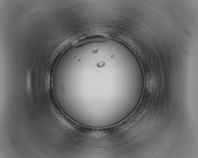 X0000112930445200909071037