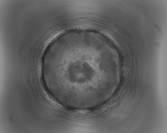 X0000112930446200909071037