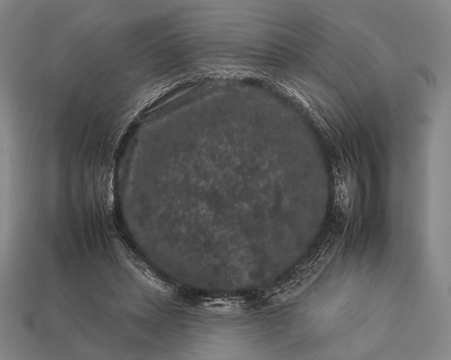 X0000112930447200909071037