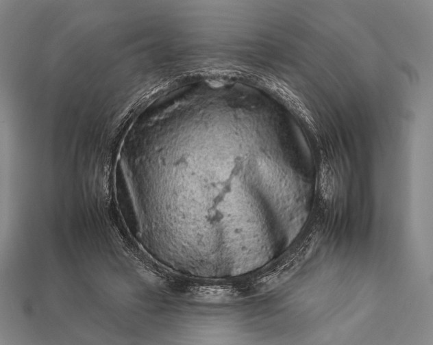 X0000112930449200909071037