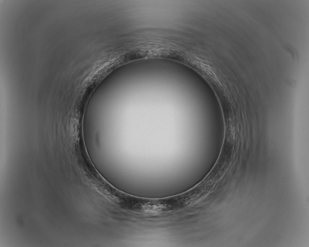 X0000112930450200909071037