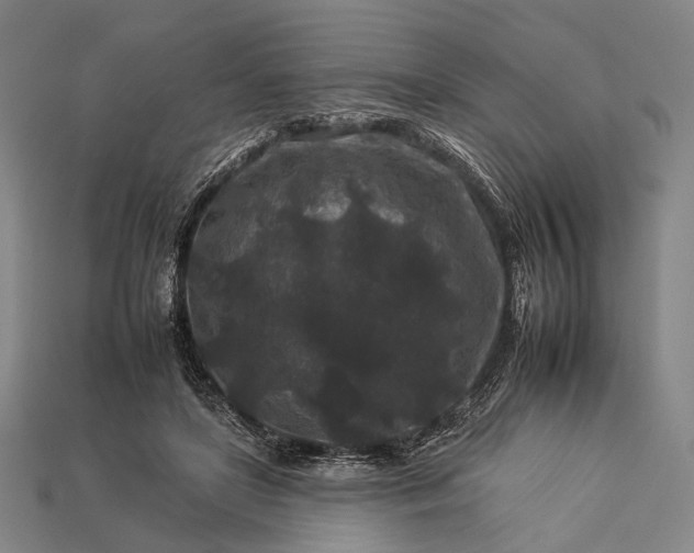 X0000112930451200909071037