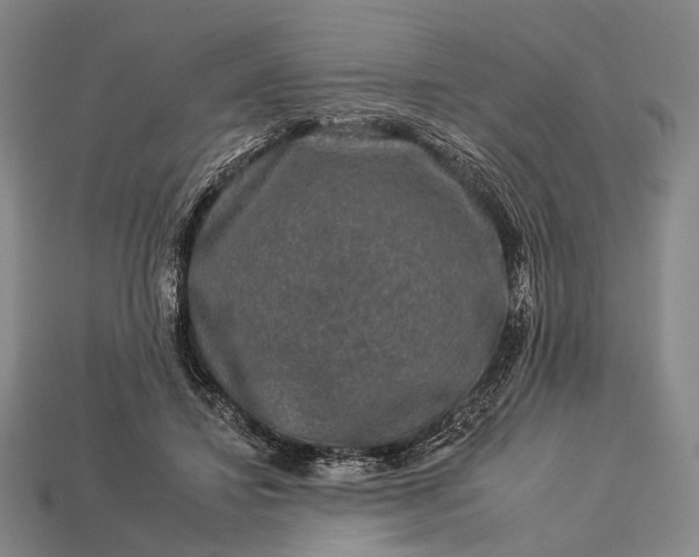 X0000112930452200909071037