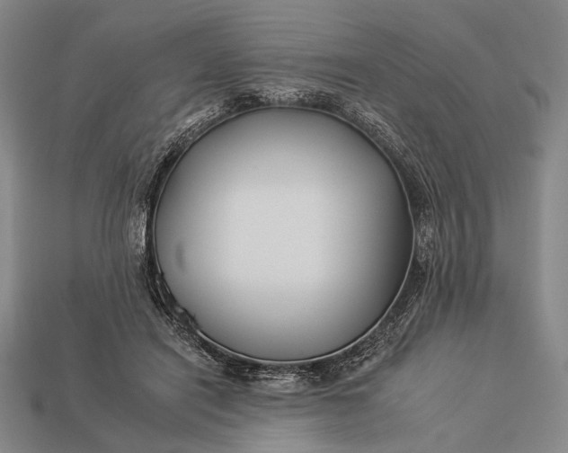 X0000112930454200909071037