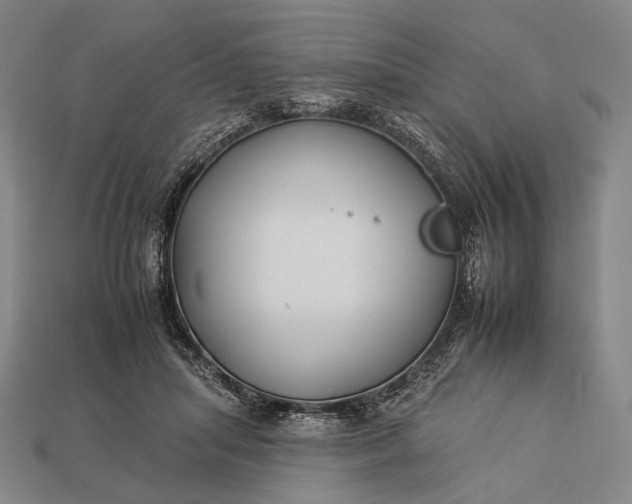 X0000112930455200909071037