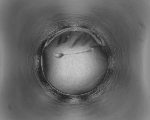 X0000112930456200909071037