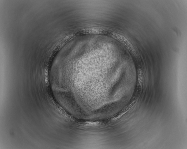 X0000112930457200909071037