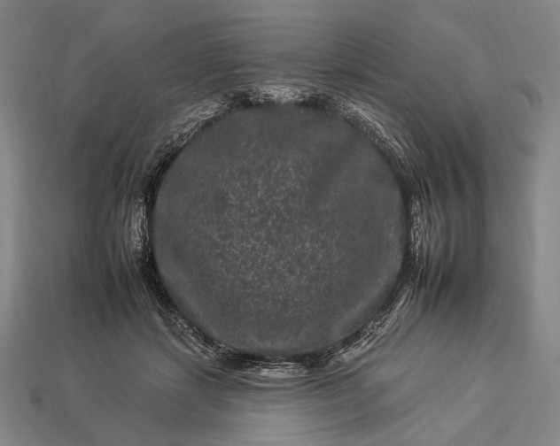 X0000112930459200909071037