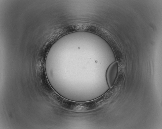 X0000112930460200909071037