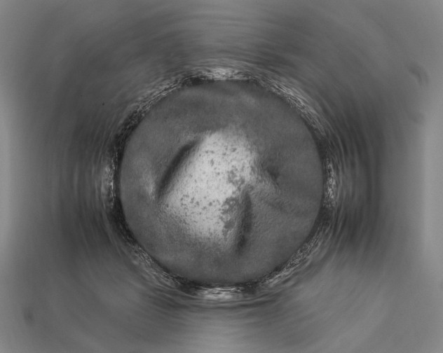 X0000112930461200909071037