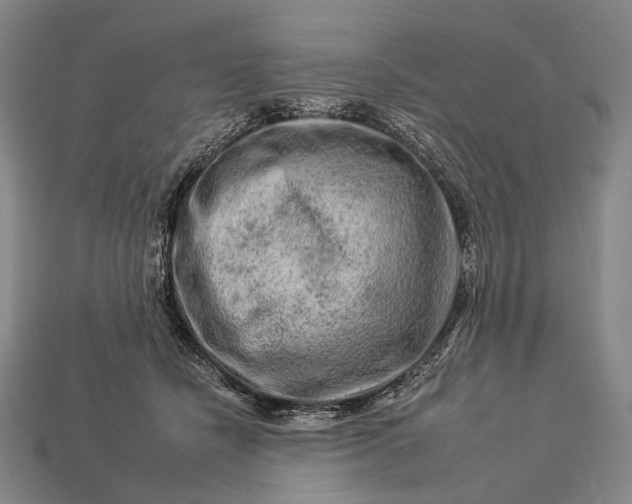 X0000112930462200909071037