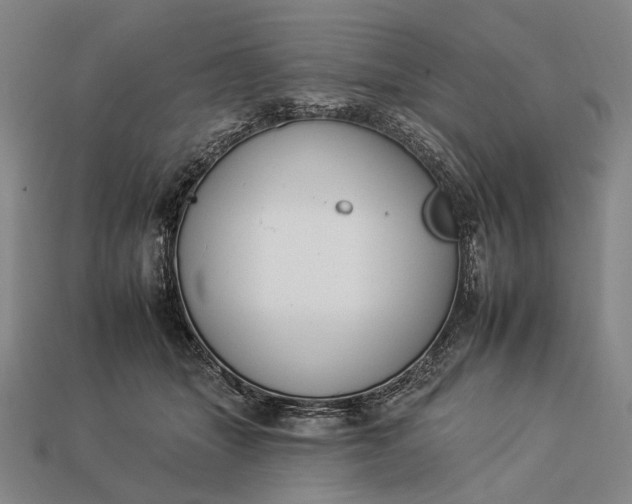 X0000112930463200909071037