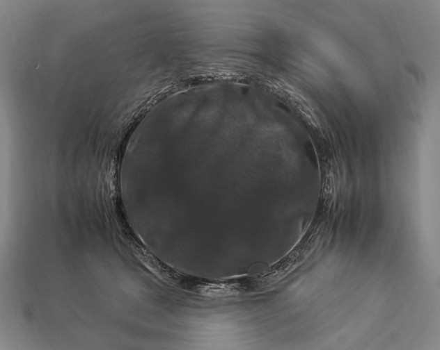 X0000112930465200909071037