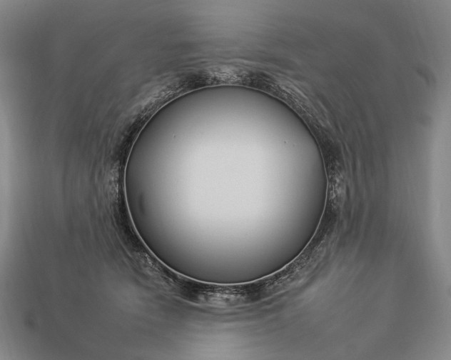 X0000112930466200909071037