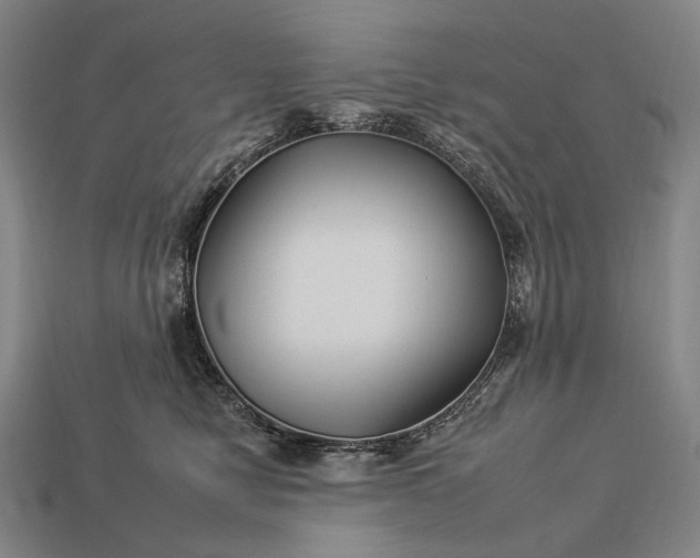 X0000112930470200909071037