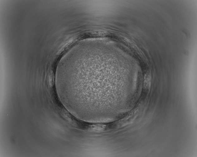 X0000112930474200909071037