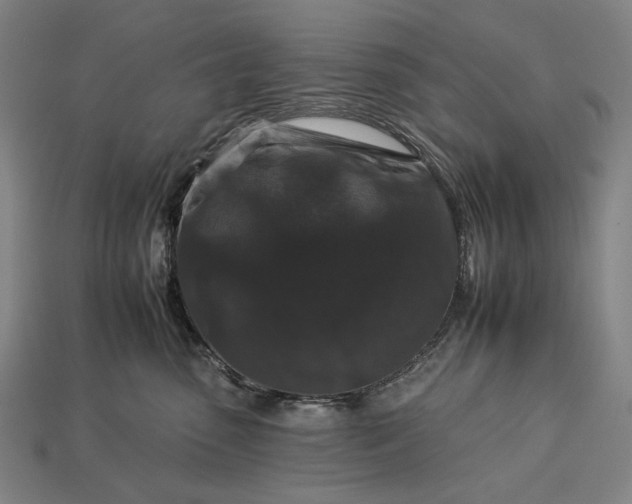 X0000112930475200909071037