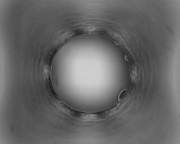 X0000112930476200909071037