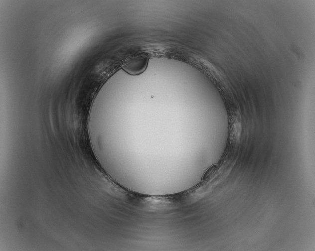 X0000112930477200909071037