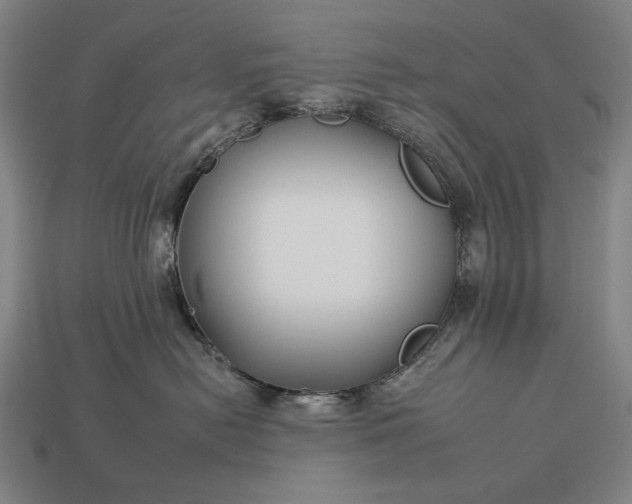 X0000112930478200909071037