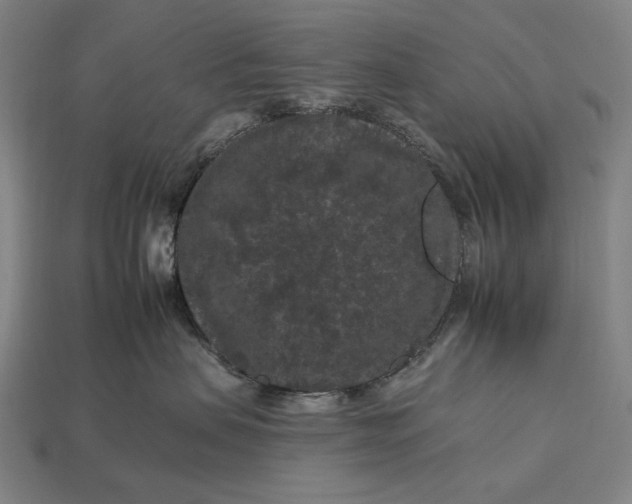 X0000112930479200909071037