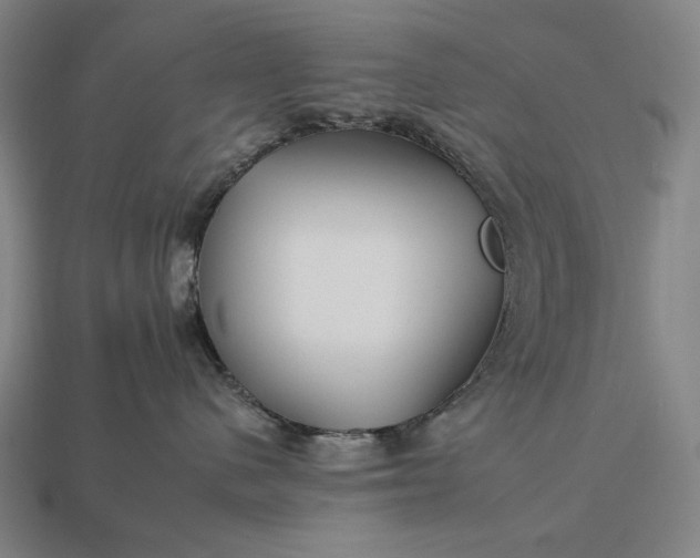 X0000112930480200909071037