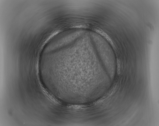 X0000112930482200909071036