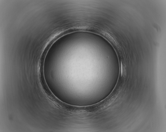 X0000112930483200909071036