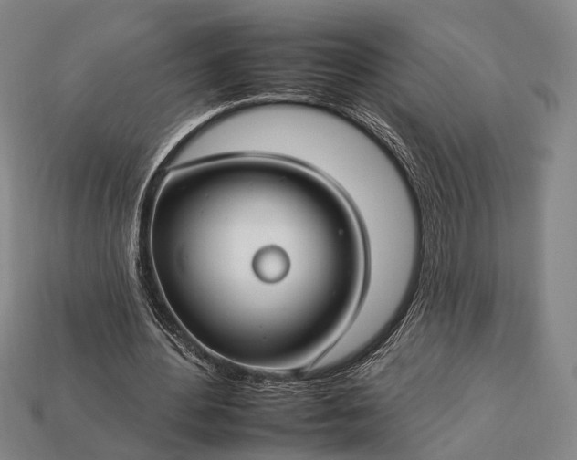 X0000112930484200909071036