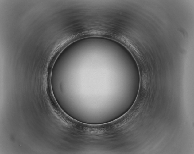 X0000112930486200909071036