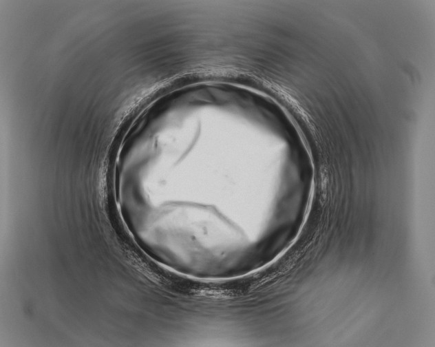 X0000112930487200909071036