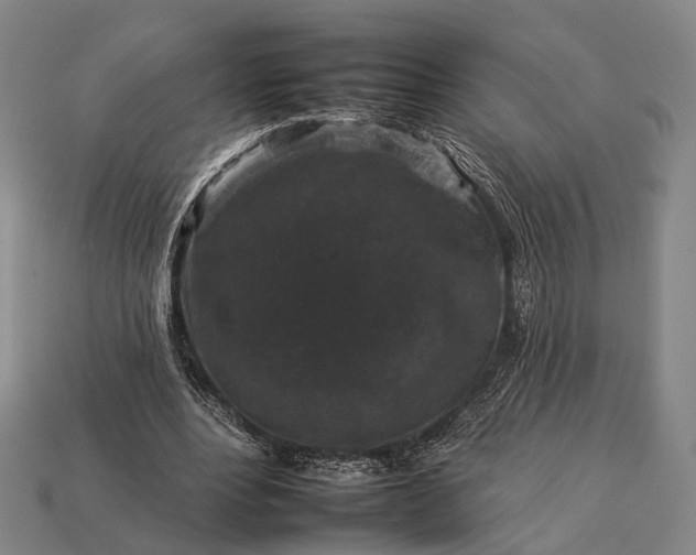 X0000112930488200909071036