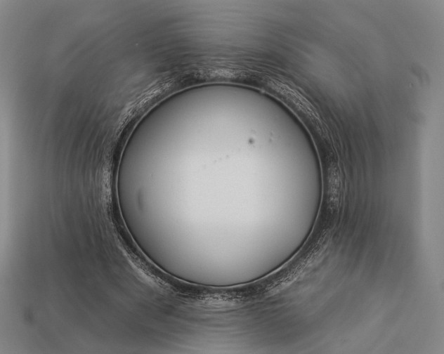 X0000112930489200909071036