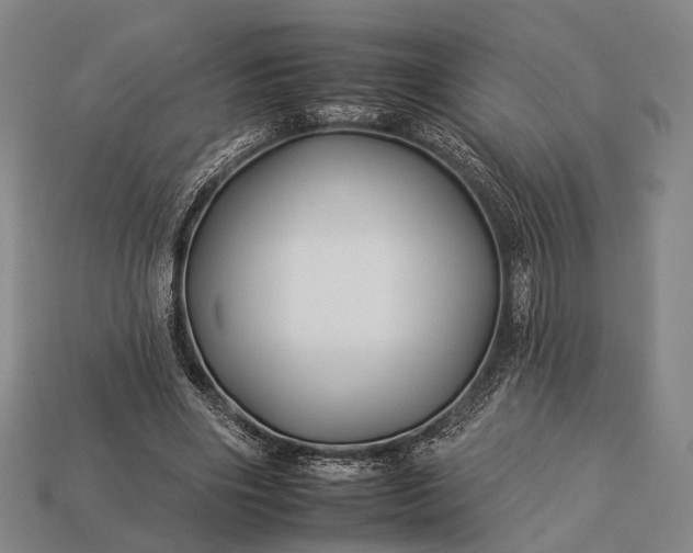 X0000112930490200909071036