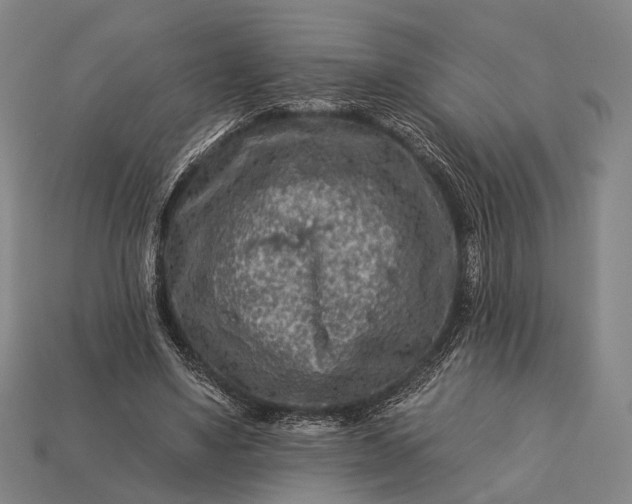 X0000112930491200909071036