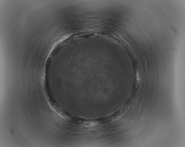 X0000112930492200909071036