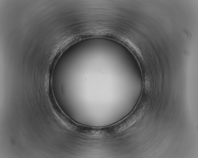 X0000112930493200909071036