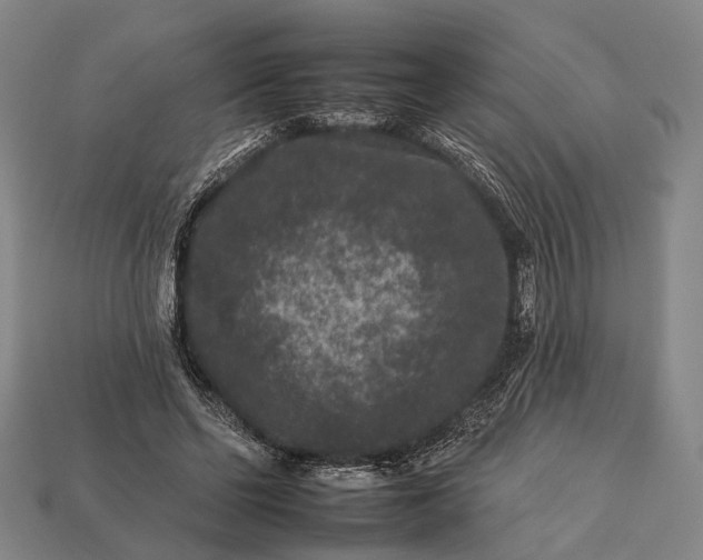 X0000112930494200909071036