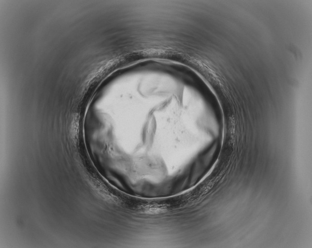 X0000112930495200909071036