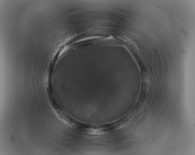 X0000112930496200909071036