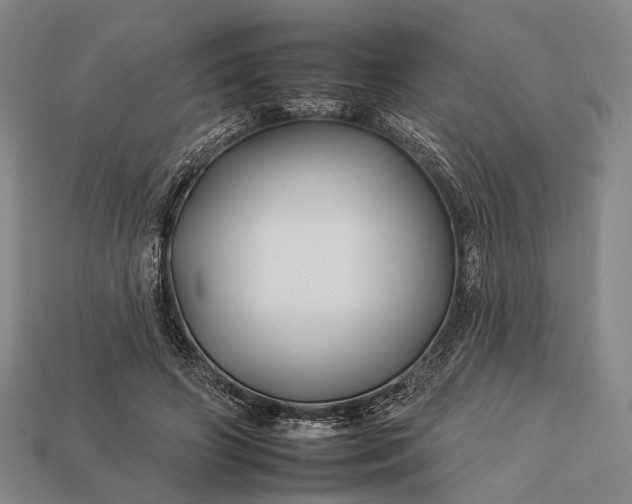 X0000112930498200909071036