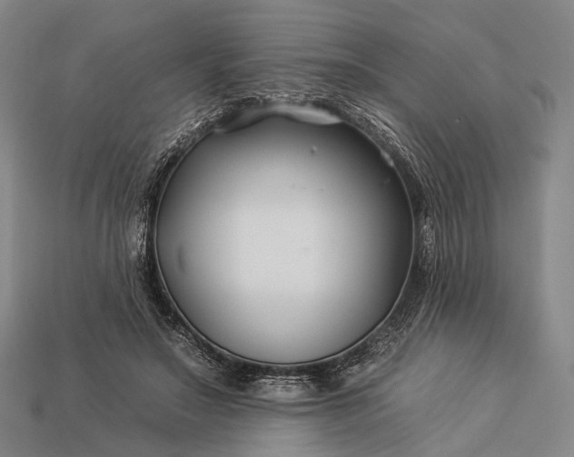 X0000112930499200909071036