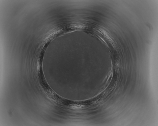 X0000112930500200909071036