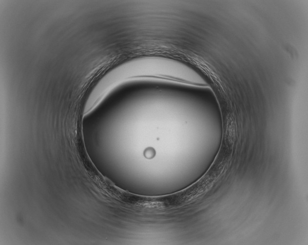 X0000112930501200909071036