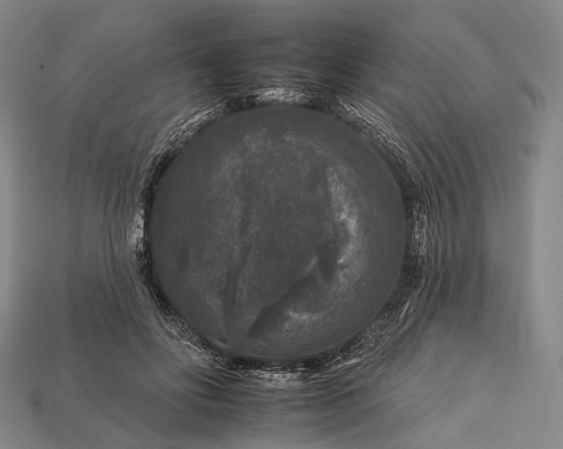 X0000112930502200909071036