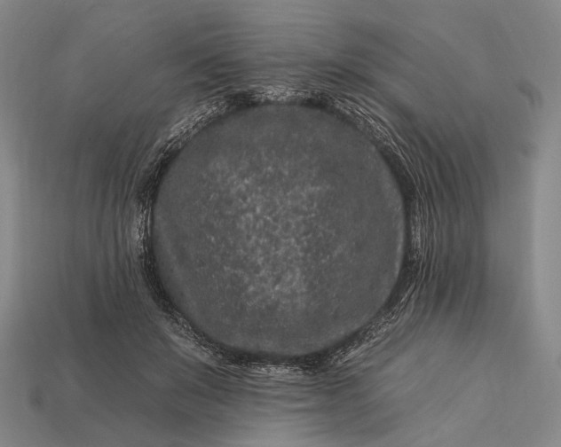 X0000112930503200909071036